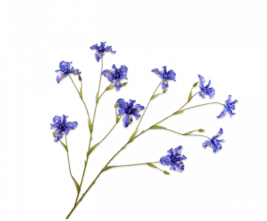 Iris Tak Blauw