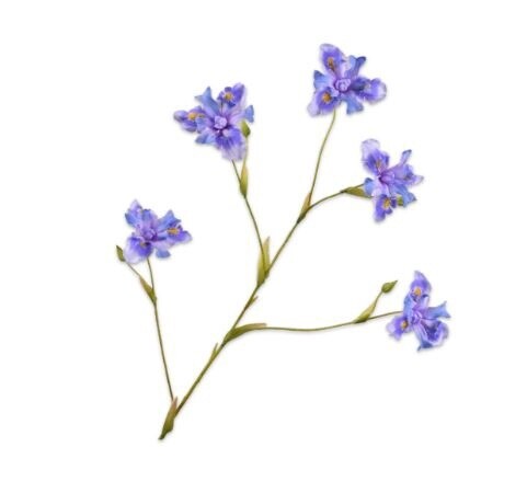 Iris Tak Lavendel 125 cm