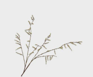 Wilgentak Groen 127 cm