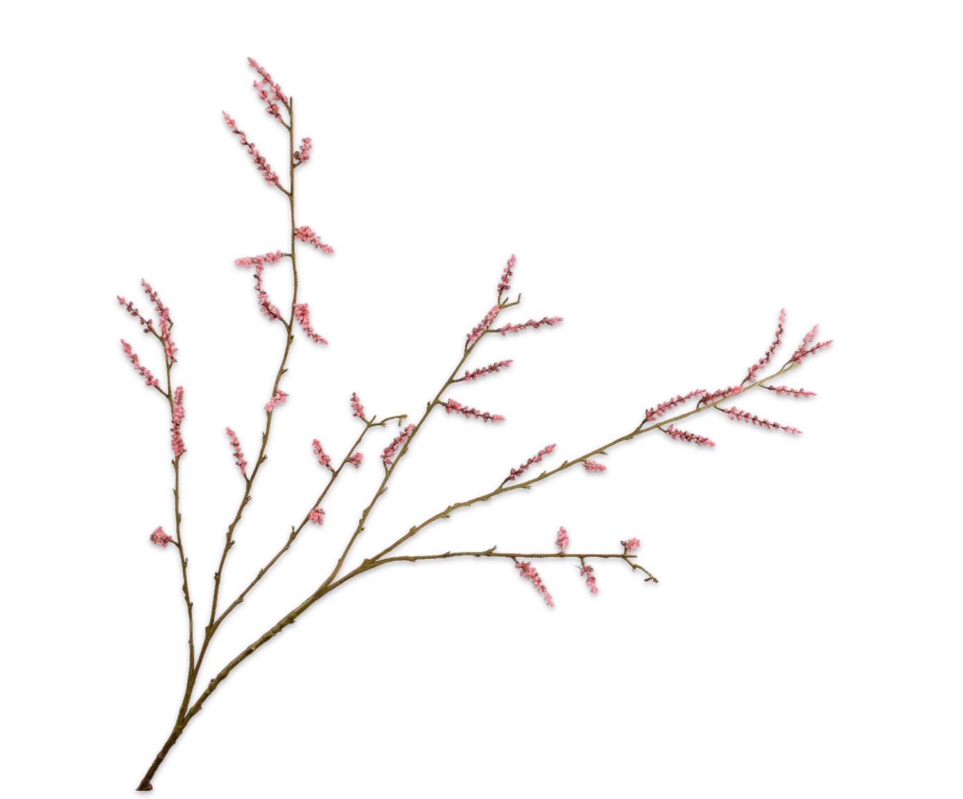 WILGENTAK ROZE 127cm