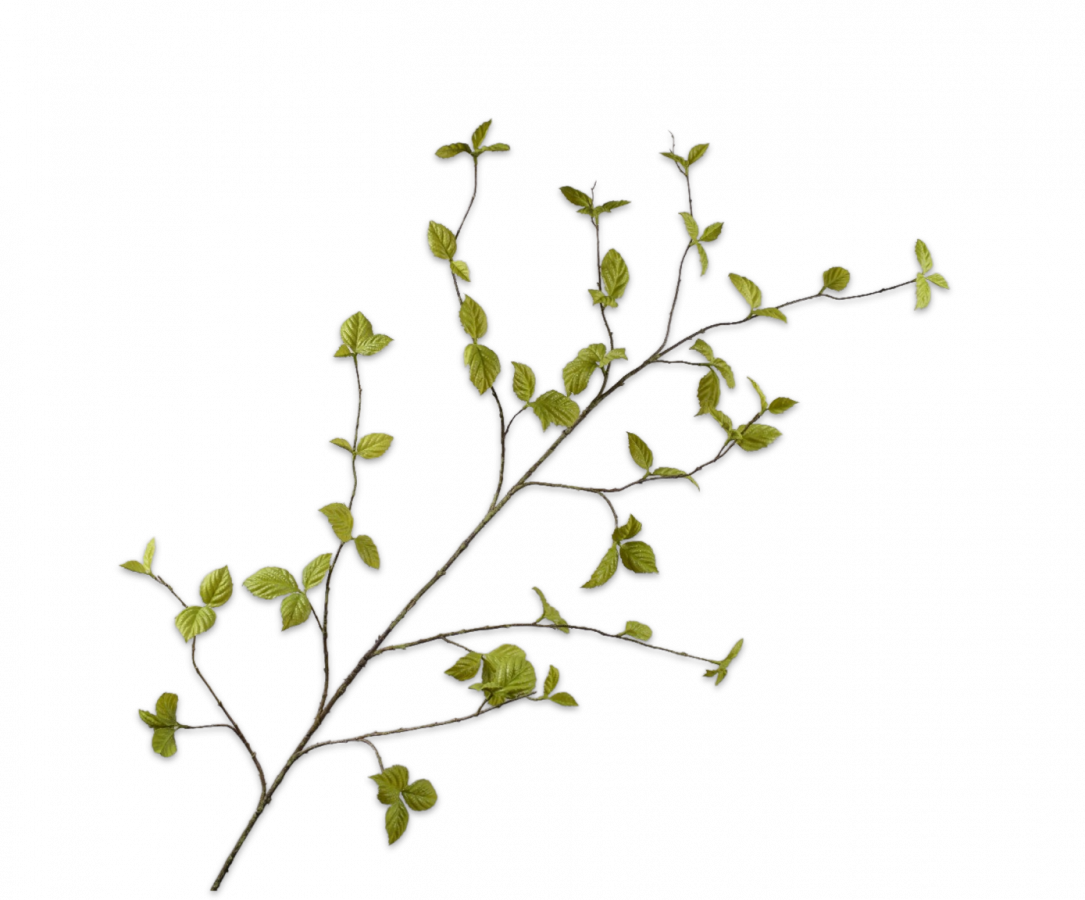 Bladtak Groen 160 cm