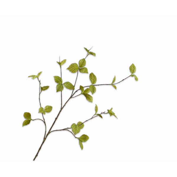 Bladtak Groen 116 cm