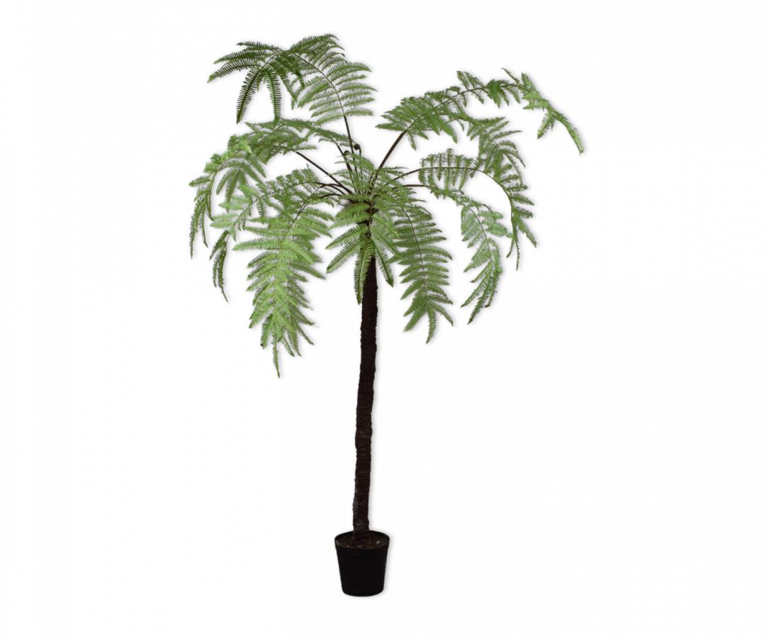 VAREN GRN LT 246 cm