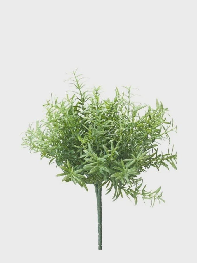 Rosemary Bush