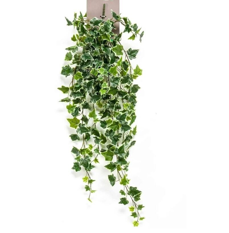 Ivy Hanging Bush Green 100 cm