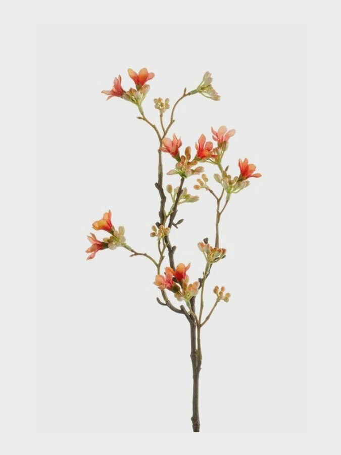 Seven Sons Flowers Spray Orange