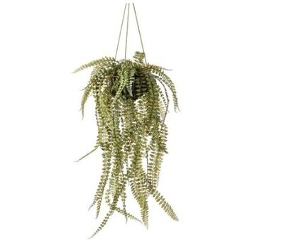 Fern on Iron Stand 95