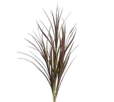 Grass Burgundy