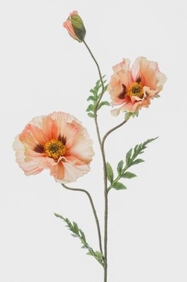 Poppy spray x3