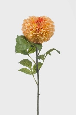 Dahlia Pompon Spray Peach