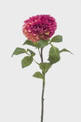 Dahlia Pompon Spray Pink