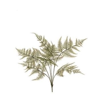Fern Garden Bush
