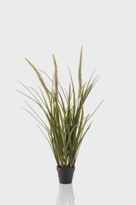 Foxtail Grass 90 cm