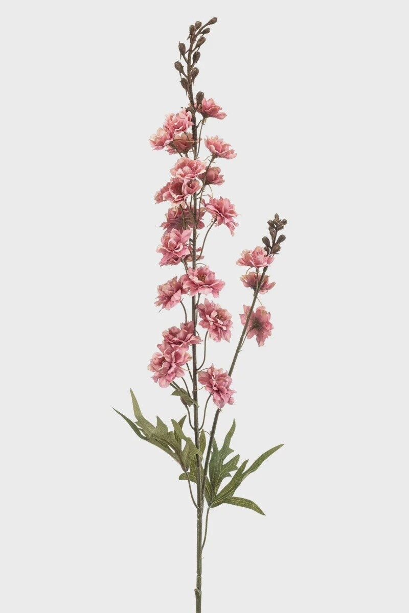 Delphinium Spray old pink
