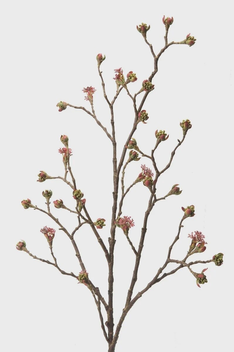 Maple Fruit Branch Burgundy