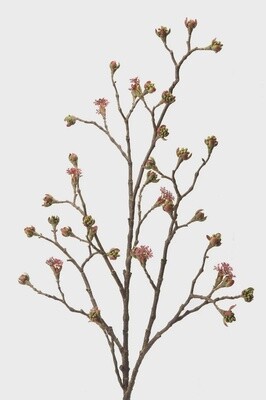 Maple Fruit Branch Burgundy