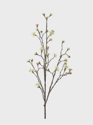 Maple Fruit Branch Cream