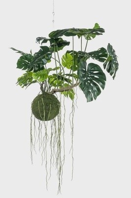 Monstera Mos ball Hanging 80
