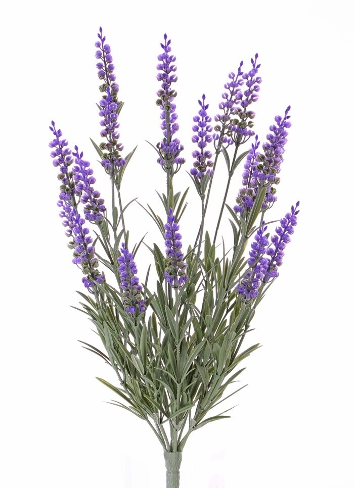 Lavendel Bush UV 45cm