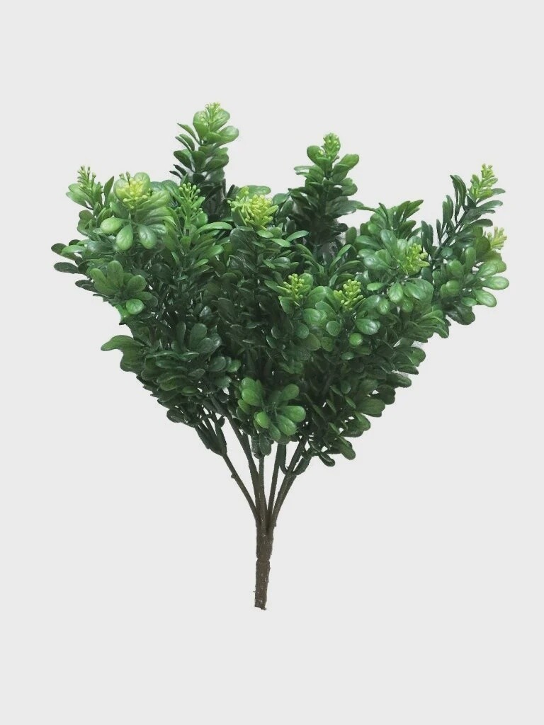 Myrthe lvs bush