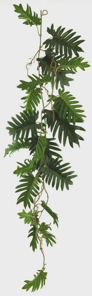 Philo seloum garland green