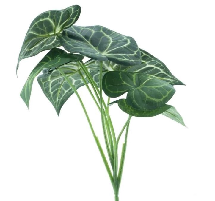 Anthurium leaf bush green 32 cm