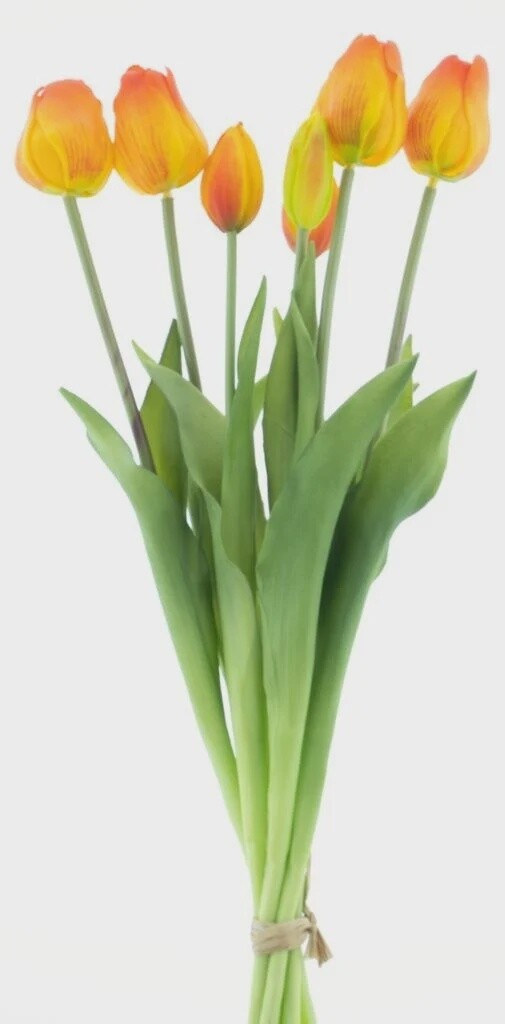 Classic tulp bundle Oranje