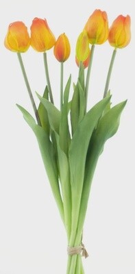 Classic tulp bundle Oranje
