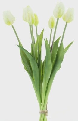Classic tulp bundle Cream
