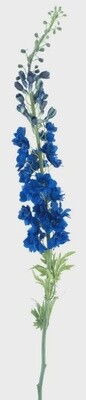Giant Delphinium spray Linus blue