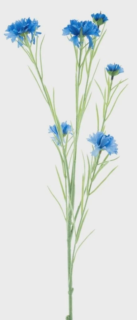 Centaurea spray Yuki blue