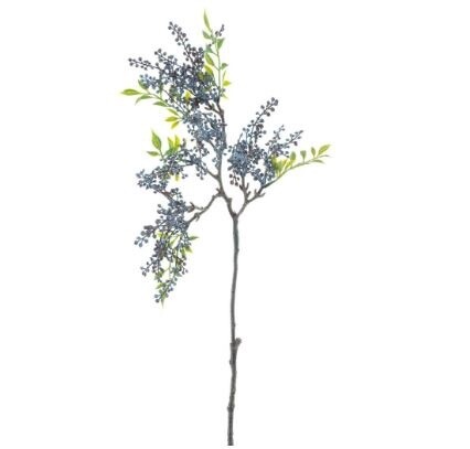 Pokeberry spray blue