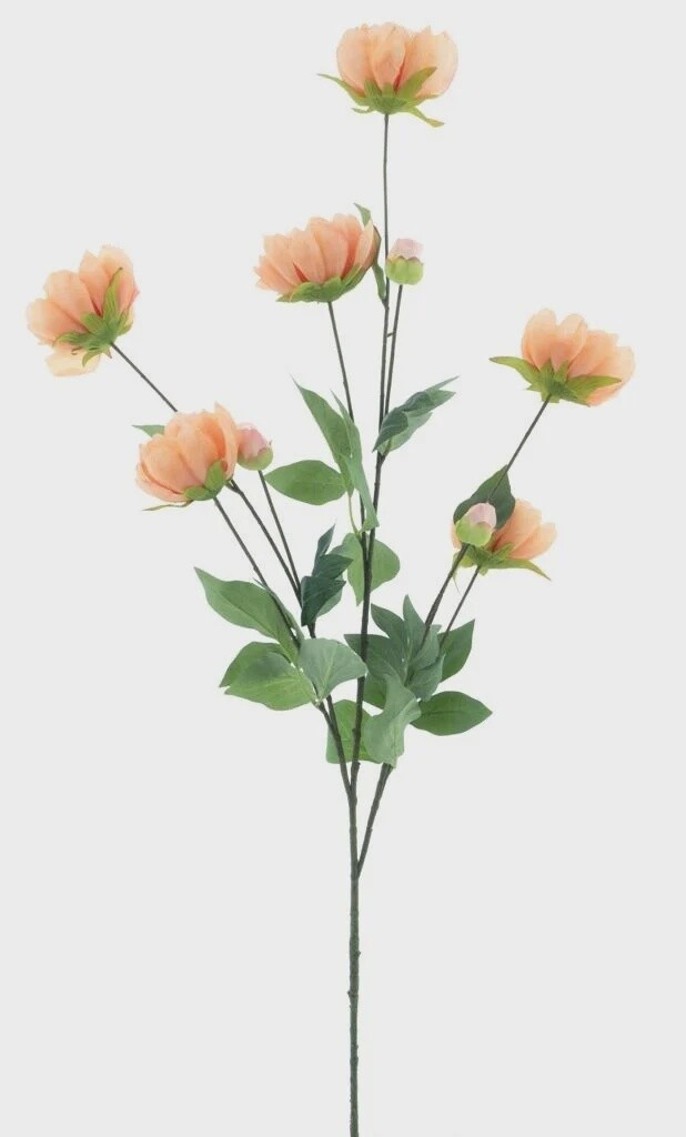 Paeony spray Sapporo peach