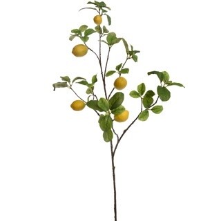 Citroenentak