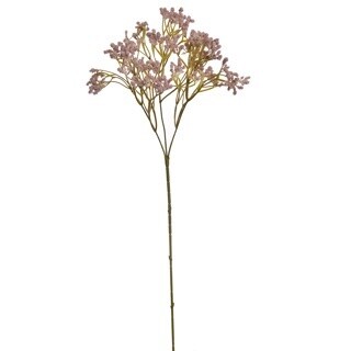 Gypso Spray Mauve