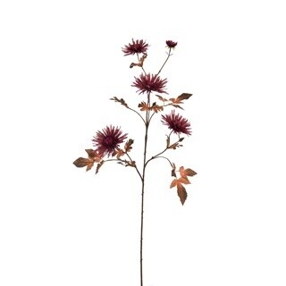 Spider Mum Spray Burgundy