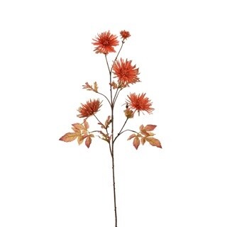 Spider Mum Spray Orange