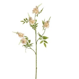 Spike Bloesemtak Cream