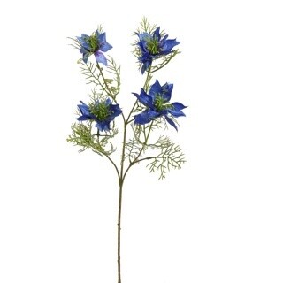Nigella Cobalt Bleu