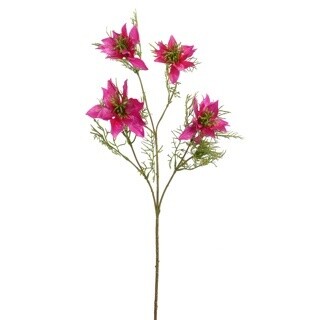 Nigella Donker Roze