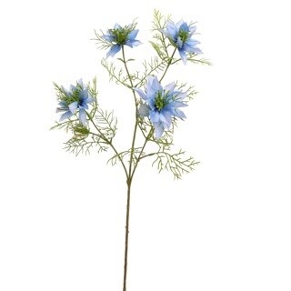 Nigella Blauw