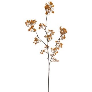 Large Gypso Spray Mustard