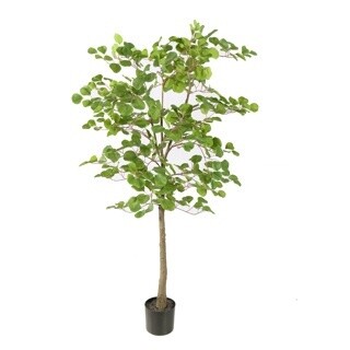 Eucalyptus Kunstplant 150 cm