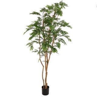 Ronbarr Tree 240CM