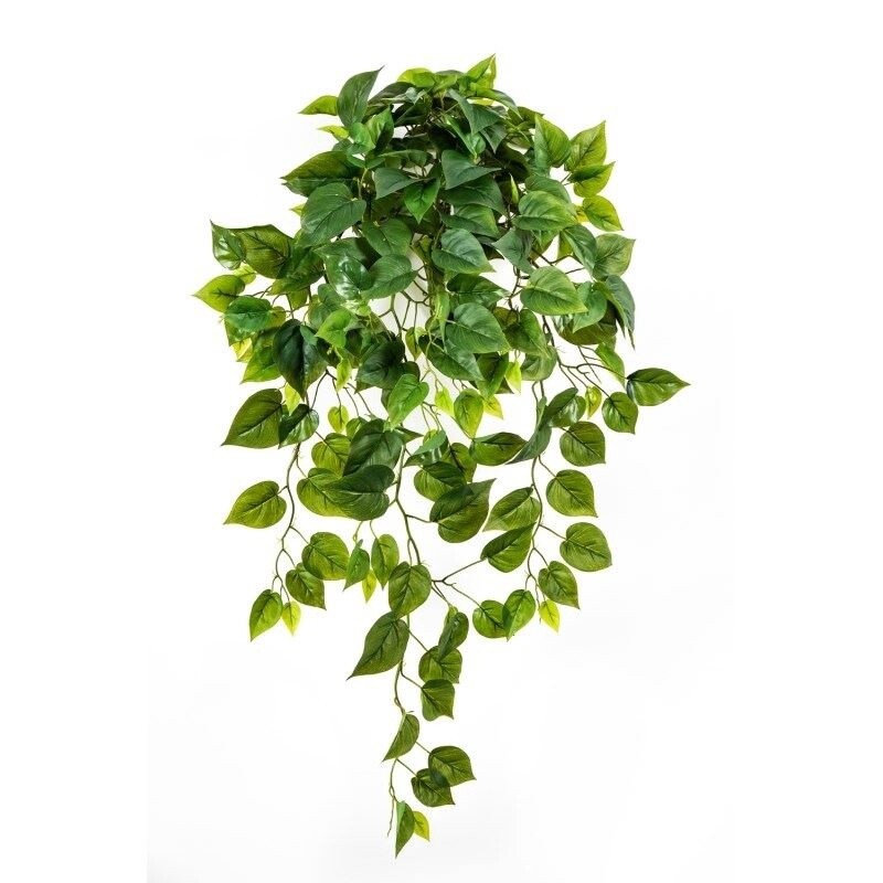 Philo Hanging Bush