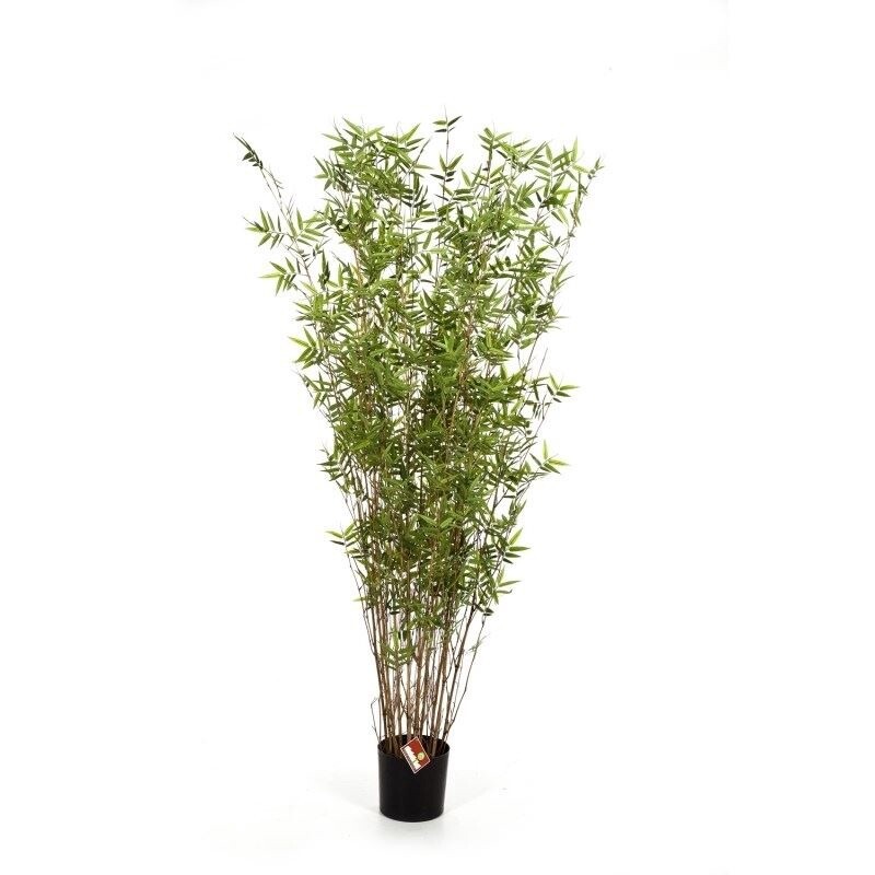 Oriental Bamboo Tree