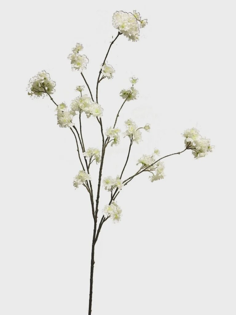 Prunus Malaga Spray White 126 cm