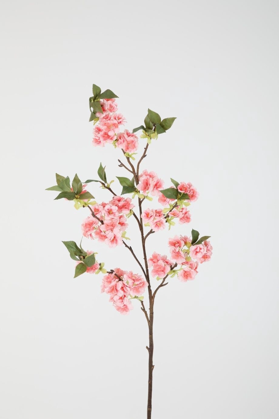 Cherry Blossom Salmon 130 cm