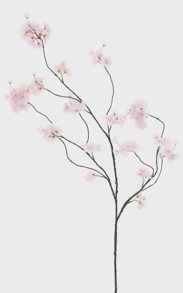 Prunus Malaga Spray Pink 126 cm