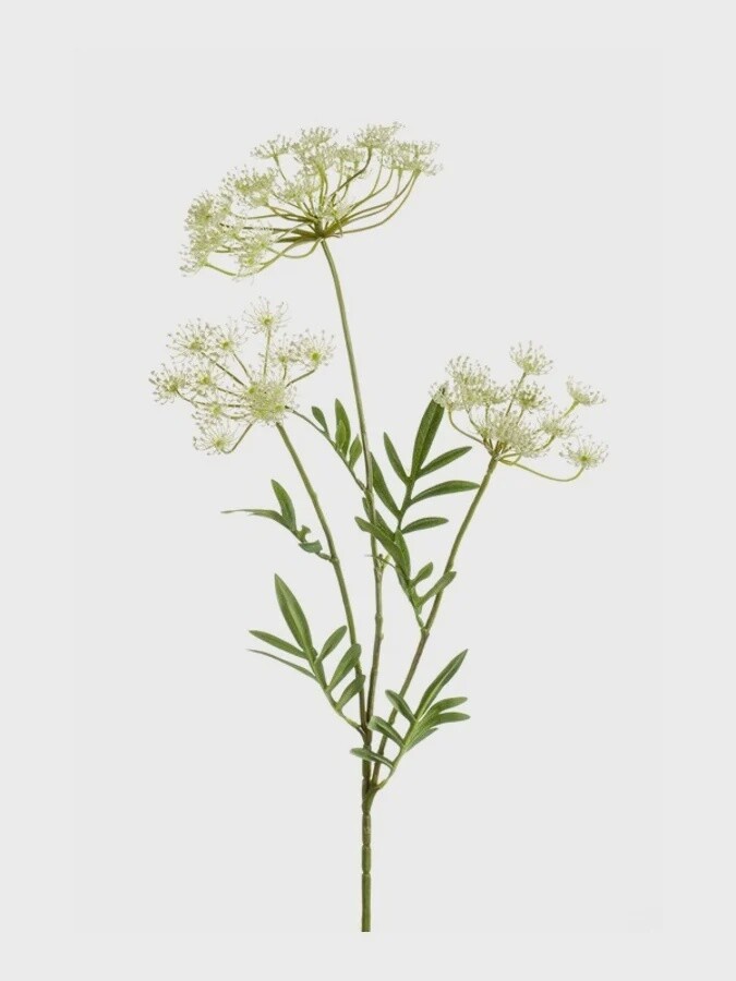 Dill Spray x3